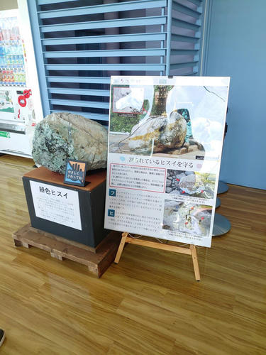 決められている場所以外でとっちゃだめ